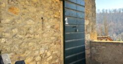 “The Montone Lodge”