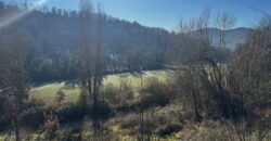 “The Montone Lodge”