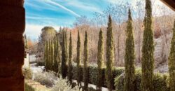 “The Quiet of Migianella”