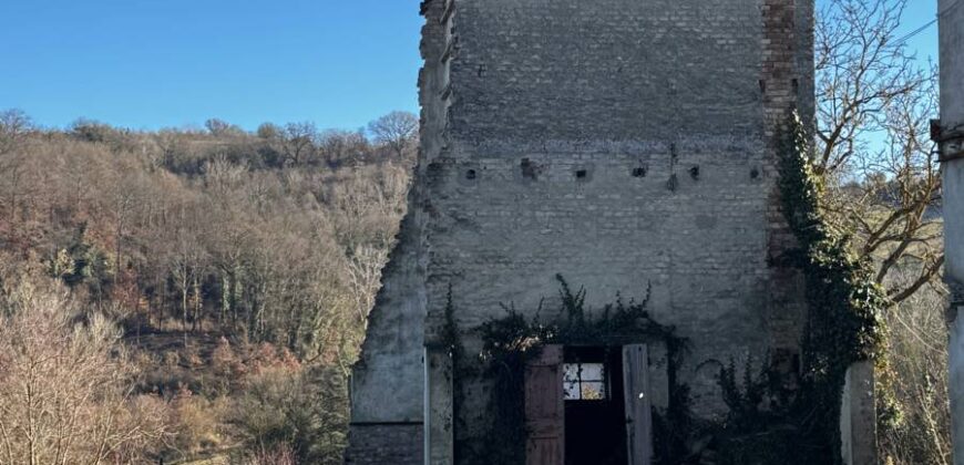 “The Montone Lodge”