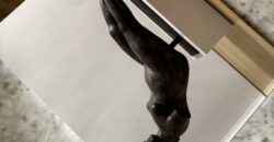 “The Quiet of Migianella”