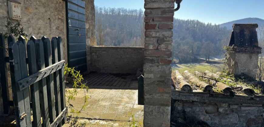 “The Montone Lodge”