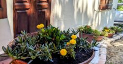 “Villa Monestevole”