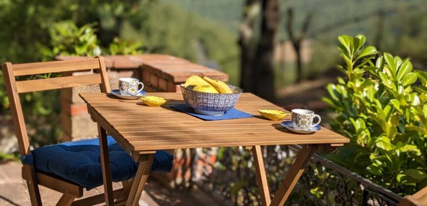 “Villa Monestevole”