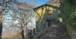 “Green Enchantment”