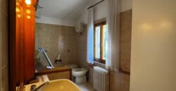 “Green Enchantment”