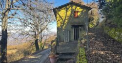 “Green Enchantment”