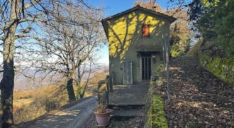 “Green Enchantment”