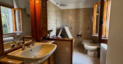 “Green Enchantment”