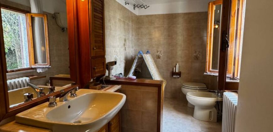 “Green Enchantment”