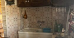 “Green Enchantment”