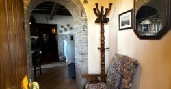 “Green Enchantment”