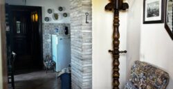 “Green Enchantment”