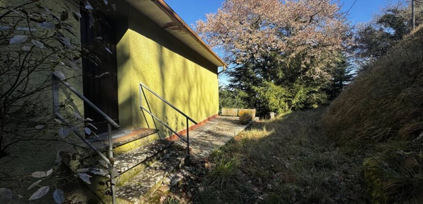 “Green Enchantment”