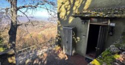 “Green Enchantment”