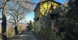 “Green Enchantment”