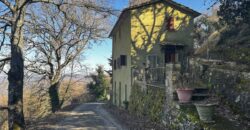 “Green Enchantment”