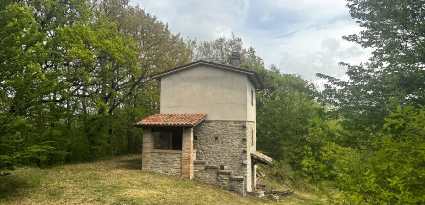 “Monte Bello “