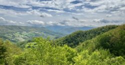 “Monte Bello “