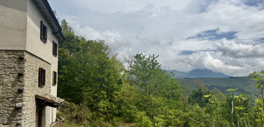 “Monte Bello “