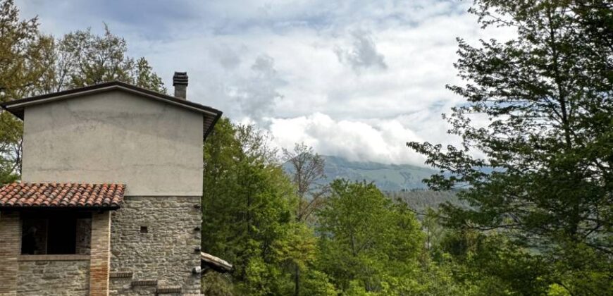 “Monte Bello “