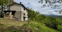 “Monte Bello “