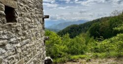“Monte Bello “