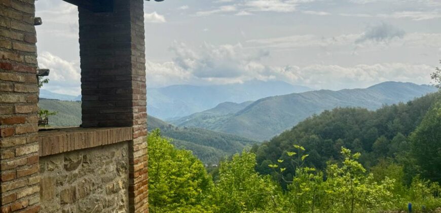“Monte Bello “