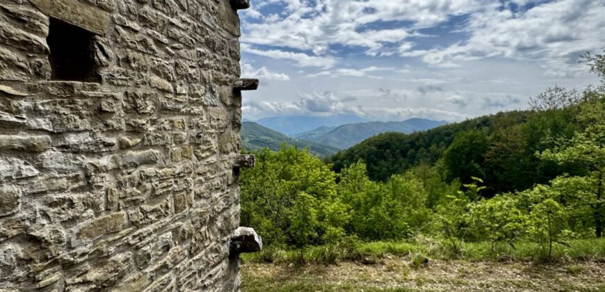 “Monte Bello “