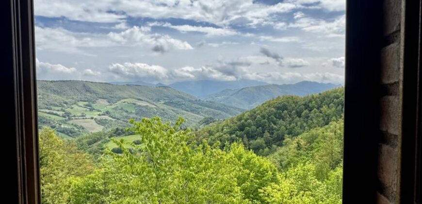 “Monte Bello “
