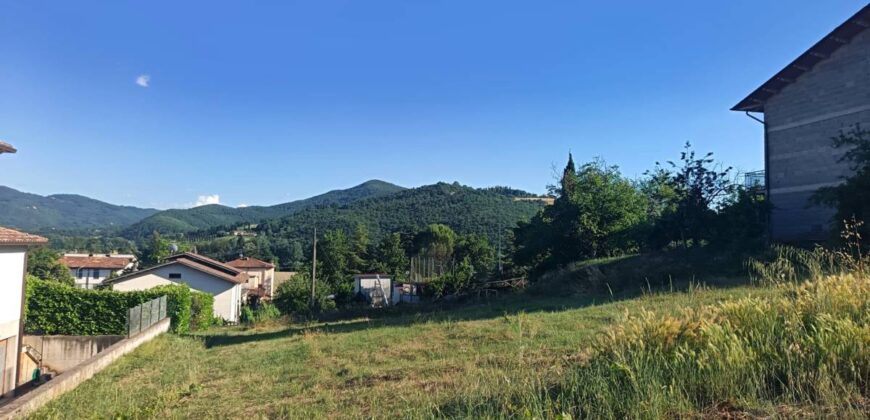 Terreno nella valle del Niccone