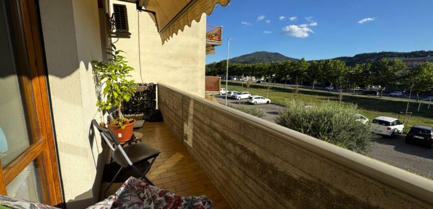 “Raffaello House”