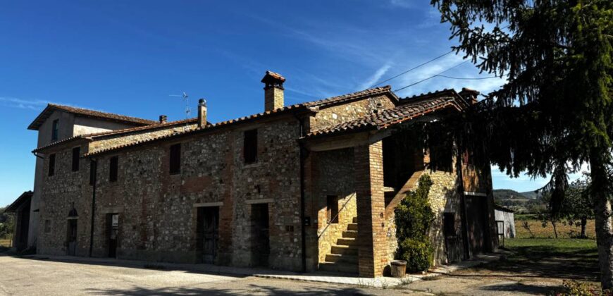 “Podere Faldo”
