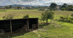 “Podere Faldo”