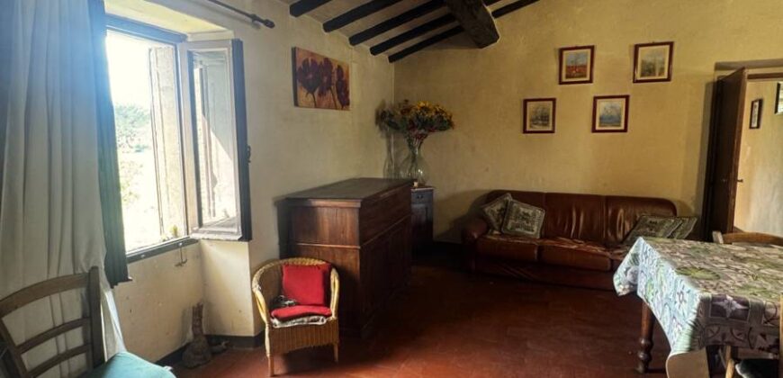 “Podere Faldo”
